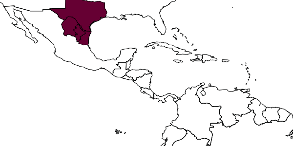 map of Psorthaspis portiae  conocephala   Bradley, 1944